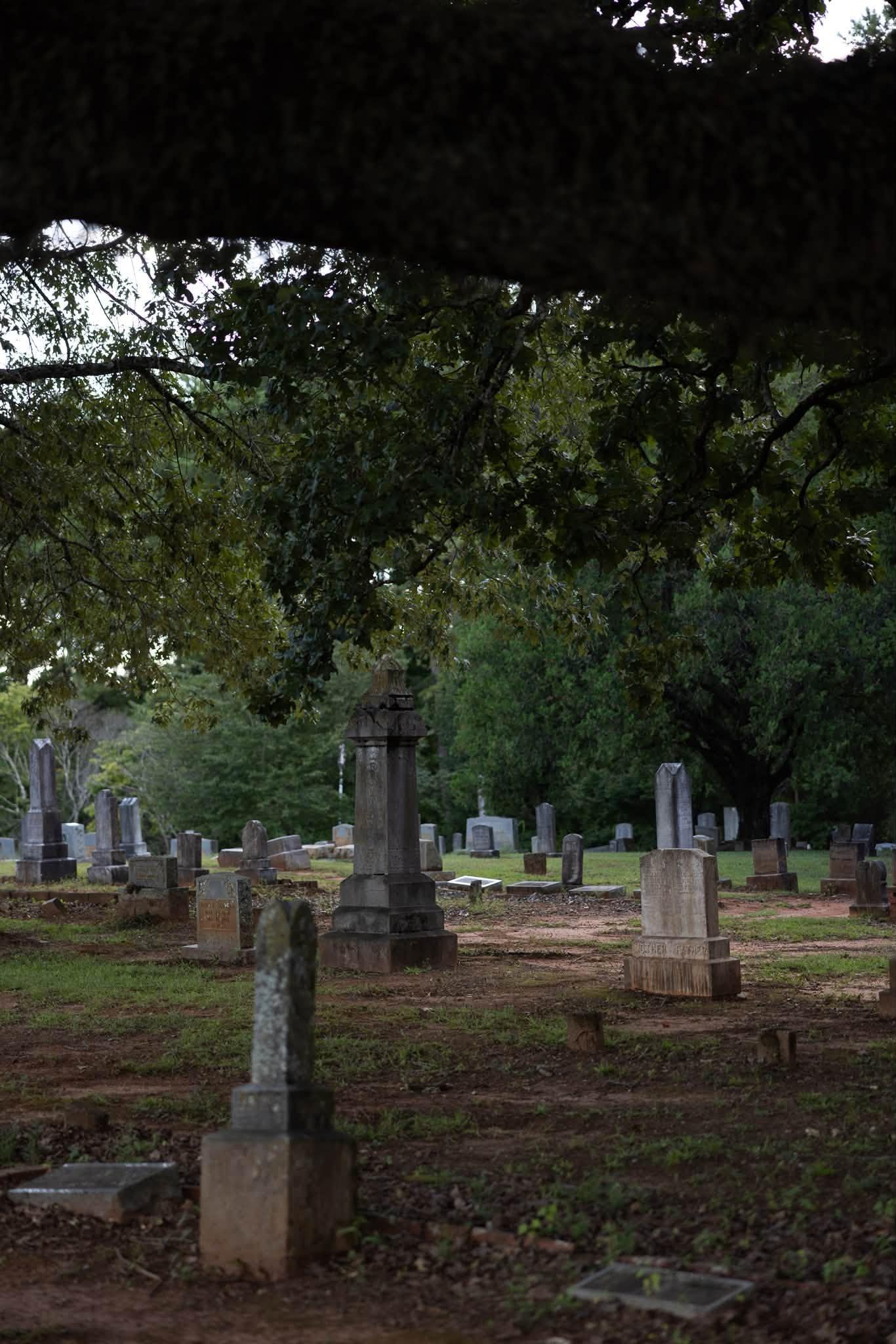 Headstones beneath a tree branch at Genery’s Gap Cemetery